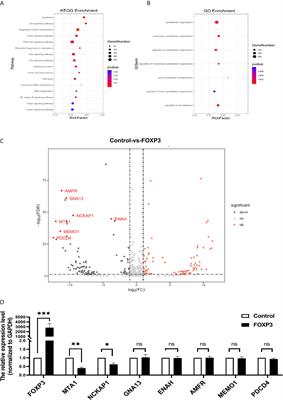 FOXP3 Inhibits the Metastasis of Breast Cancer by Downregulating the Expression of MTA1